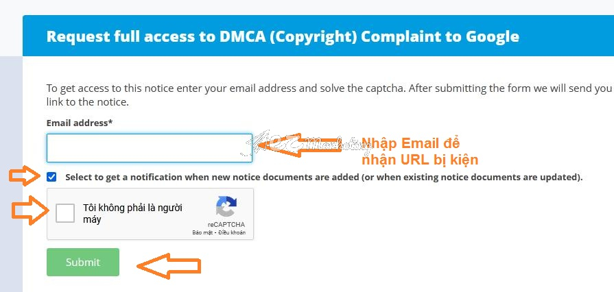 Nhập Email và Submit