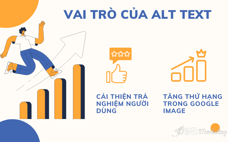 Vai trò của Alt Text