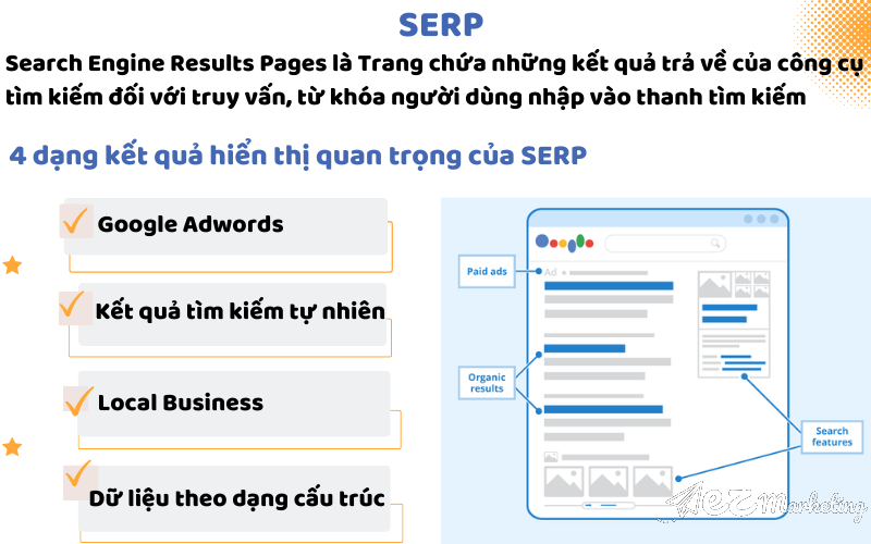 SERP là thuật ngữ được viết tắt từ cụm Search Engine Results Pages