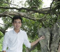 Hoàng Tú
