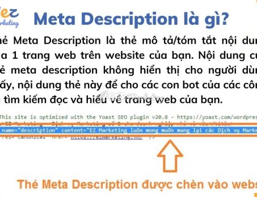Meta description là gì? Các phương pháp viết Meta description tăng traffic website