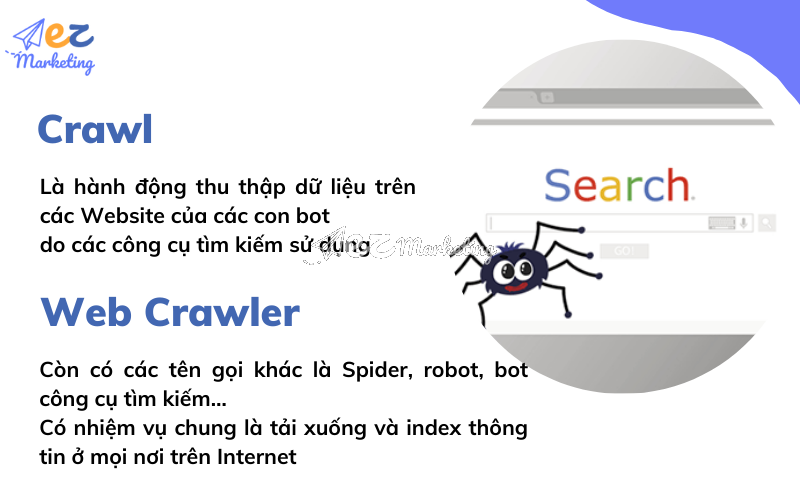 Crawl là gì? Web Crawler là gì?