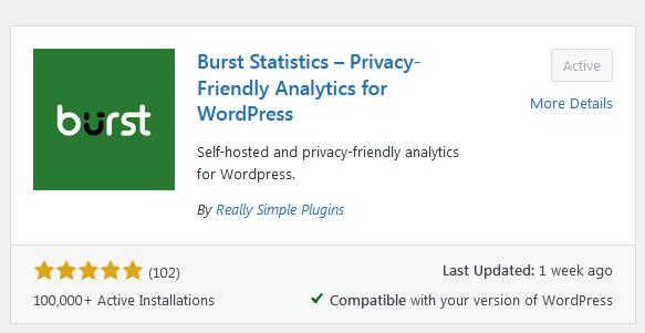 Plugin Burst Statistics - Privacy-Friendly Analytics for WordPress