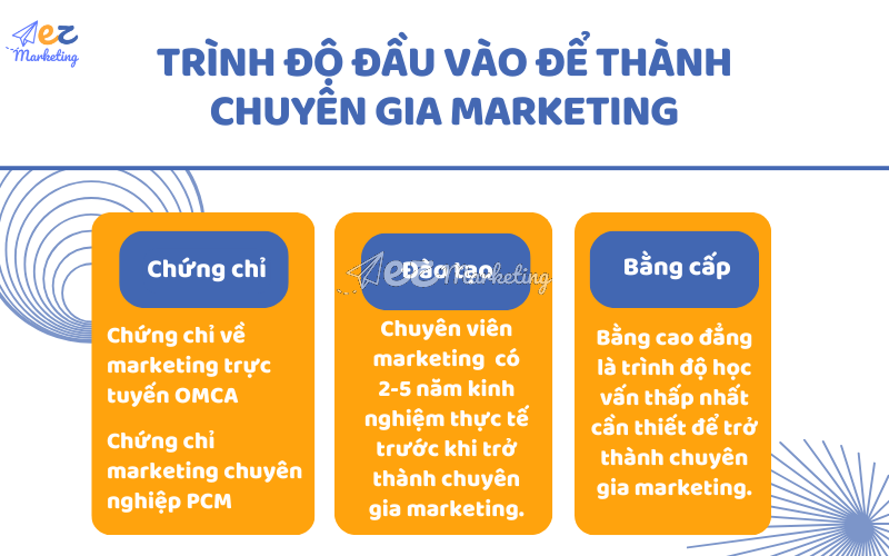 Trình độ đầu vào để thành chuyên gia Marketing: Chứng chỉ, đào tạo và bằng cấp