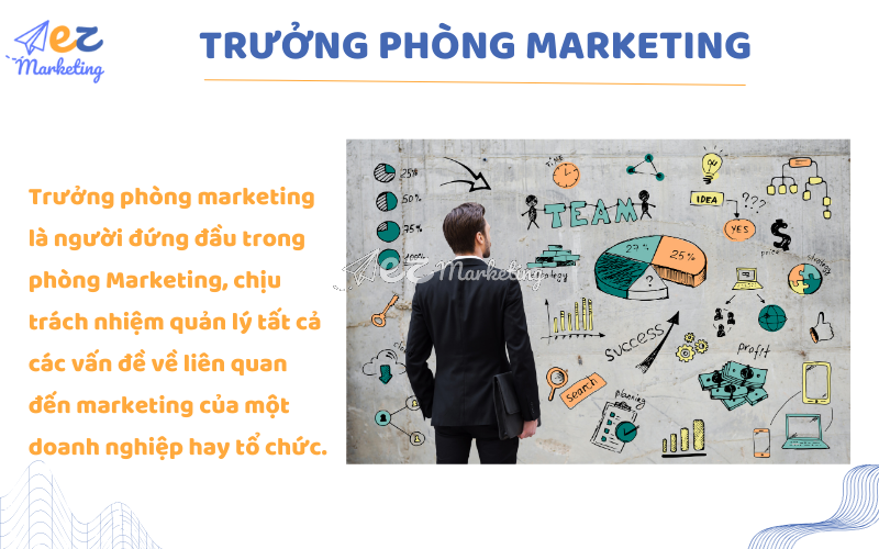 Trưởng phòng marketing là gì?