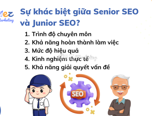 Junior SEO là gì? Các công việc hàng ngày của Junior SEO