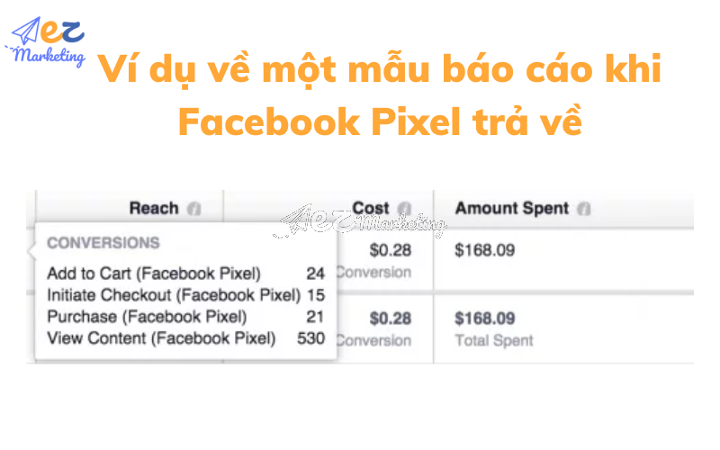 Ví dụ về một mẫu báo cáo khi Facebook Pixel trả về
