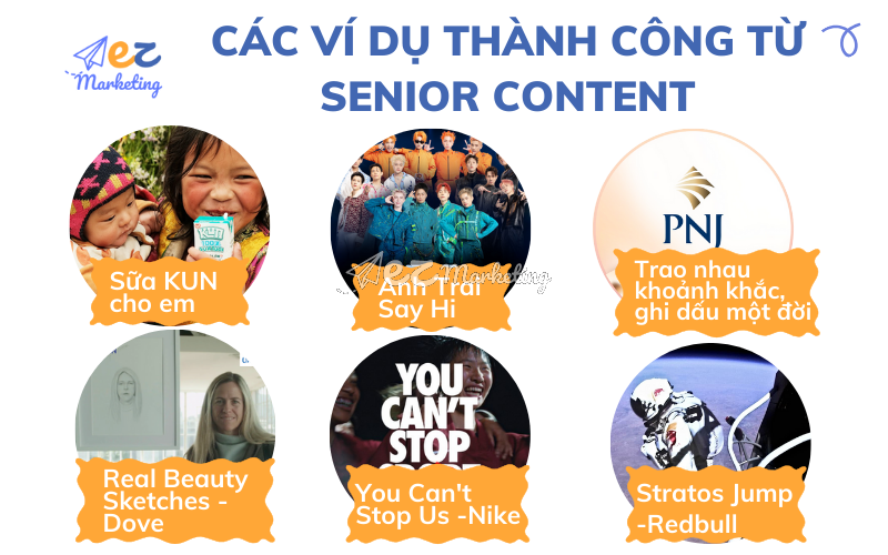 Các ví dụ thành công từ Senior Content