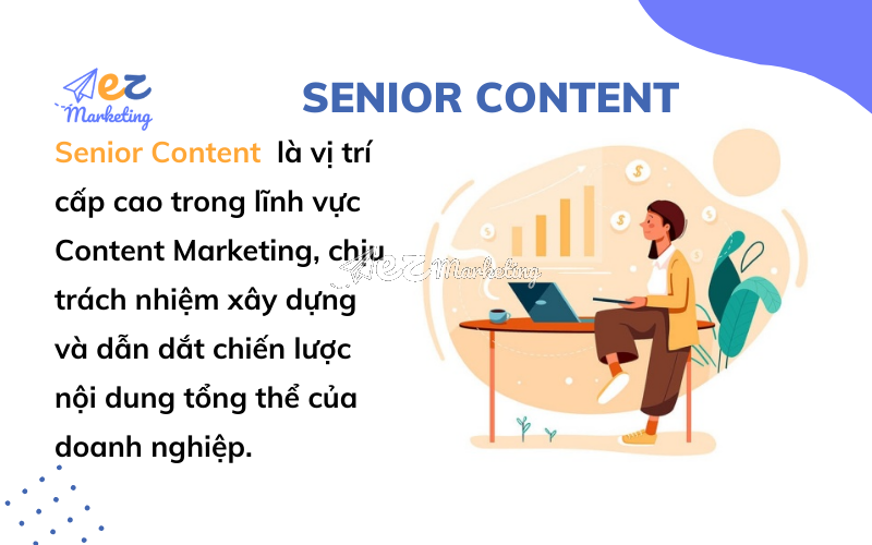 Giới thiệu về Senior Content