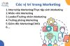 Tất tần tật các vị trí trong ngành Marketing